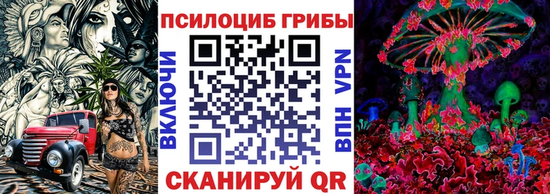Псилоцибиновые грибы прущие грибы  Купить  Галич 